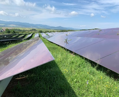 oekostrom AG: Auf einer Wiese installierte Solarmodule unter einem teilweise bewölkten Himmel mit Bergen im Hintergrund. In der Nähe der Module sind einige Unkräuter zu sehen.