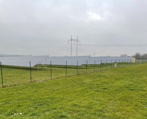 oekostrom AG: Eine eingezäunte Wiese grenzt an eine Solarpanel-Farm, im Hintergrund sind bewölkter Himmel und Stromleitungen zu sehen.