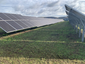 Reihen von Solarmodulen auf einem Feld unter einem bewölkten Himmel erzeugen lautlos saubere Energie. Mit der Unterstützung von Unternehmen wie der oekostrom AG tragen diese Module zu einer nachhaltigen Zukunft bei.